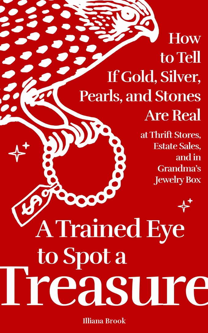 The cover of A Trained Eye to Spot a Treasure by Illiana Brook: a white kestrel carrying a pearl necklace with a price tag, on red.
